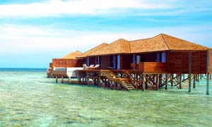 3-200302160F10-L.jpg 3-200302160F10-L.jpg