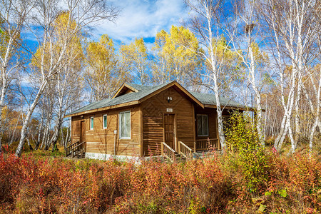 2508.jpg_wh300.jpg 2508.jpg_wh300.jpg