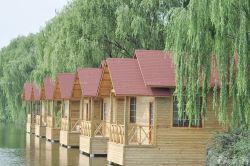 thumb_250_20151015115258_25243.jpg thumb_250_20151015115258_25243.jpg